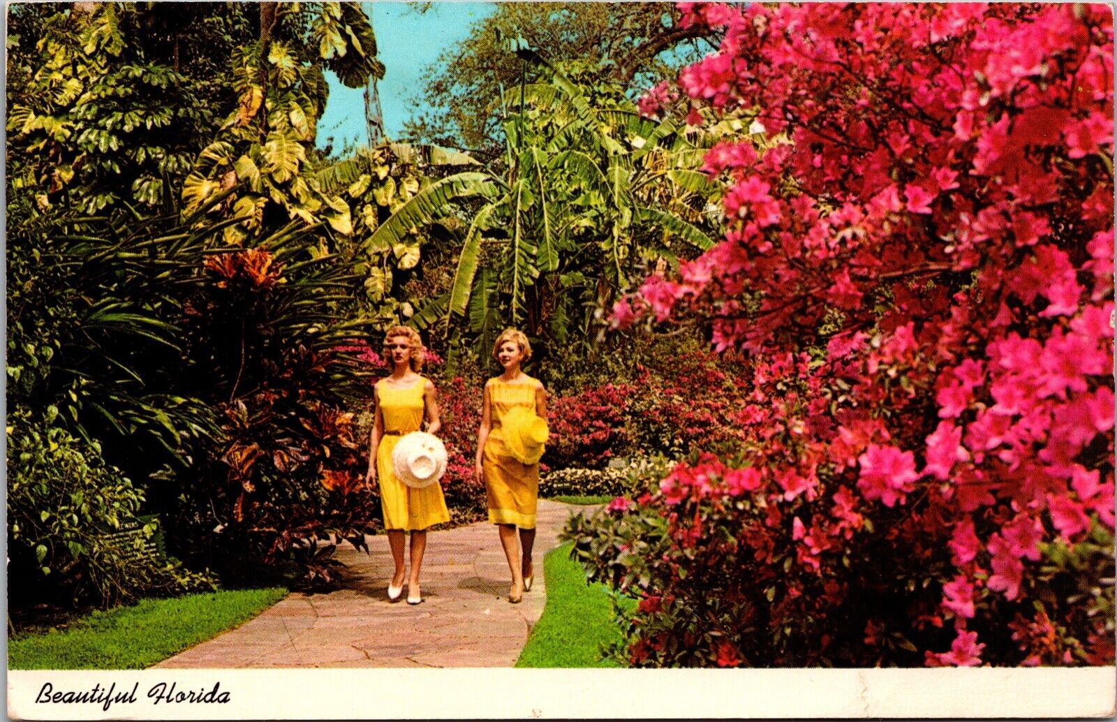 Postcard - Brilliant Azaleas Border a Walk in a Florida Tropical Garden, USA