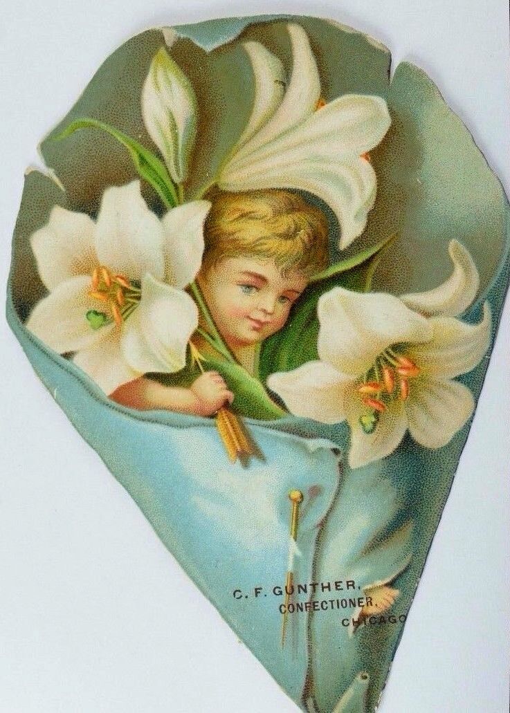 1880\'s-90\'s Embossed Die-Cut C. F Gunther Confectioner Child-Cherub Lilies P62