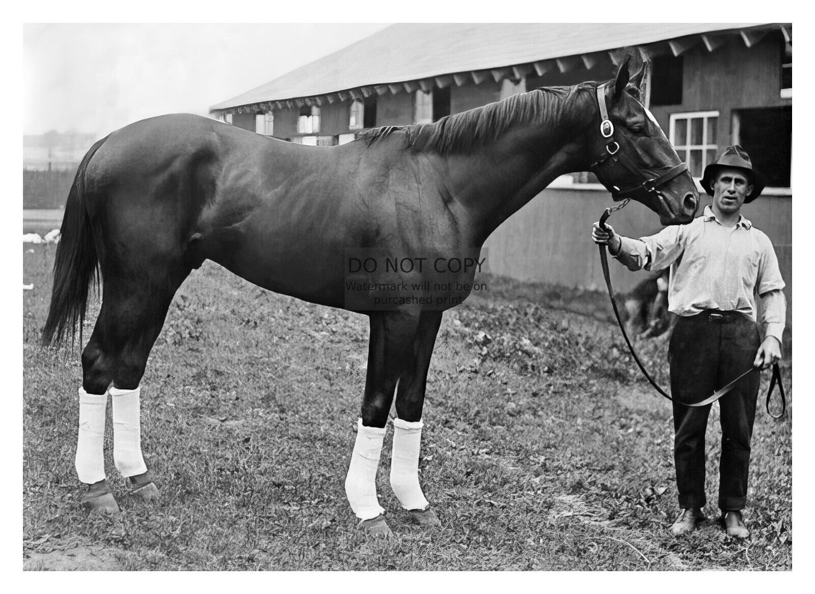MAN O WAR CHAMPION THOROUGHBRED RACE HORSE 1920 5X7 PHOTO