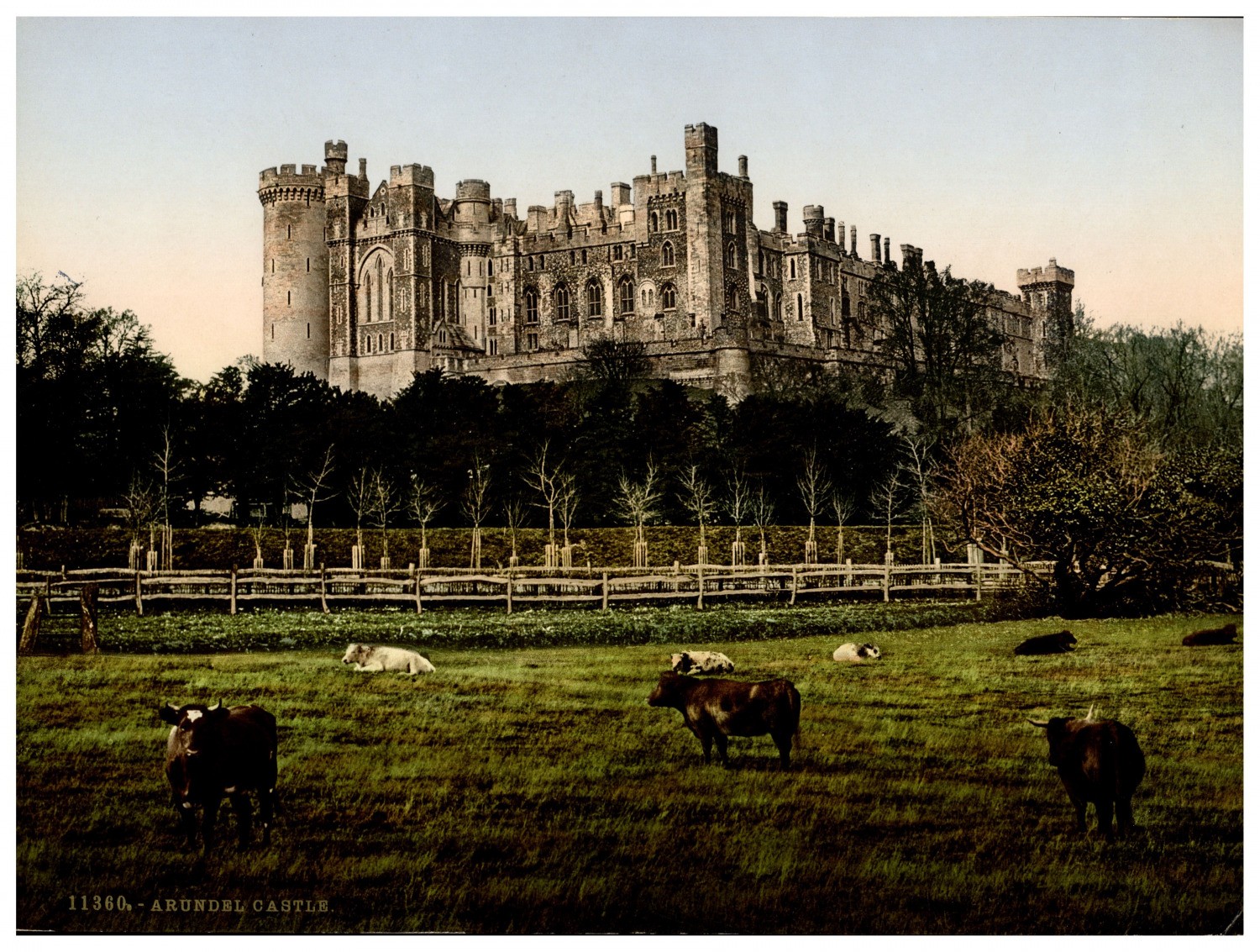 England. Arundel. Castle. Vintage photochrome by P.Z, photochrome Zurich photo