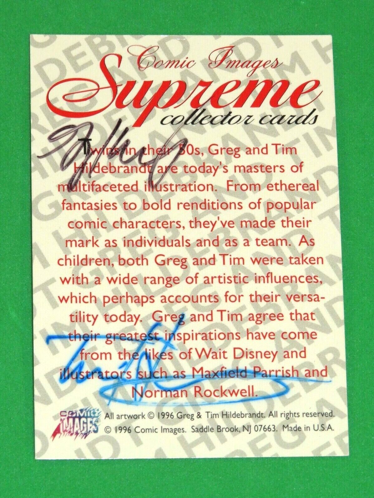 1996 SUPREME ARTIST AUTOGRAPHED MAGNACHROME INSERT CARD GREG TIM HILDEBRANDT