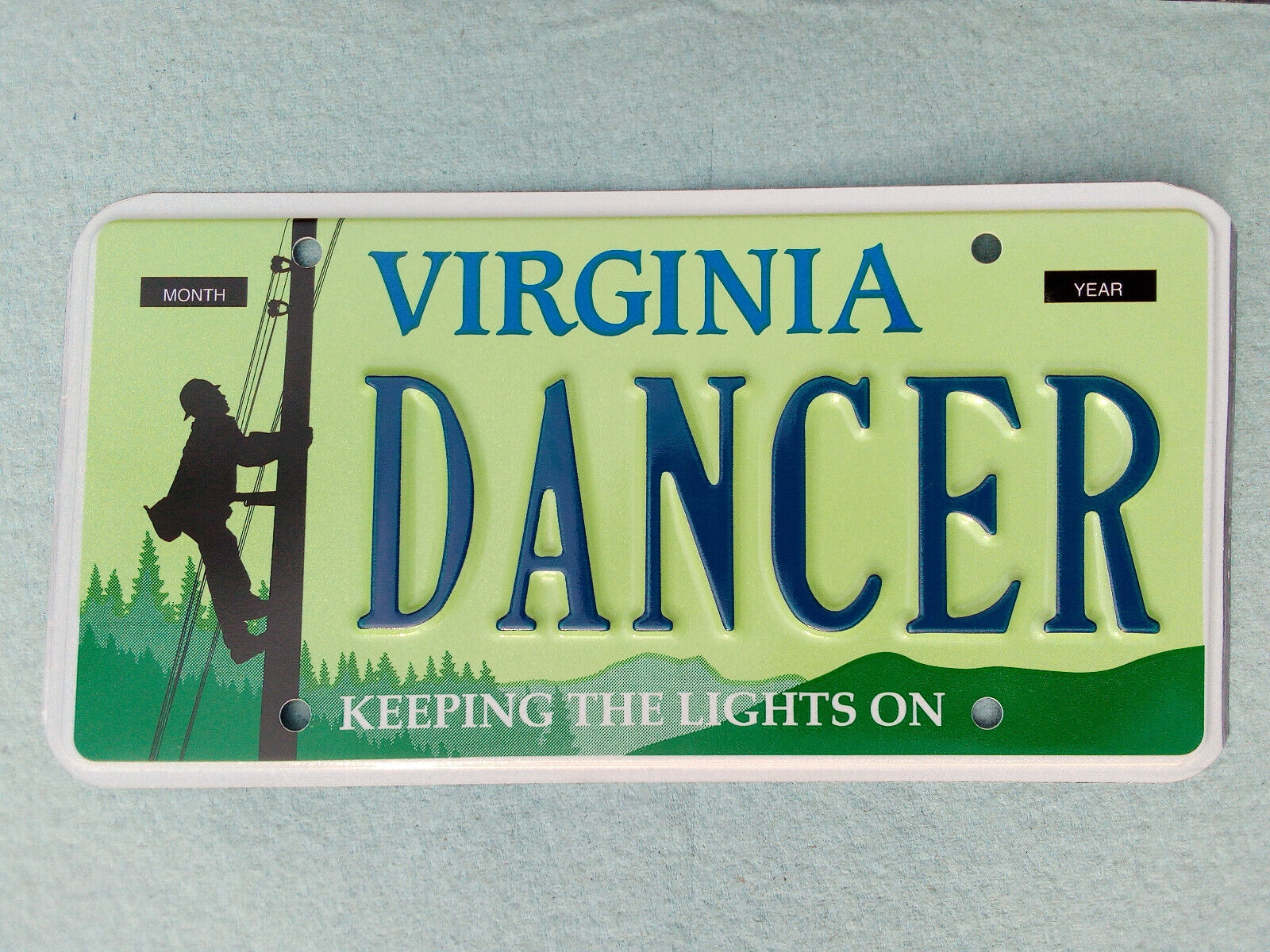 Expired Virginia Va DMV Issued Pole Dancer Keeping The Lights On License Plate