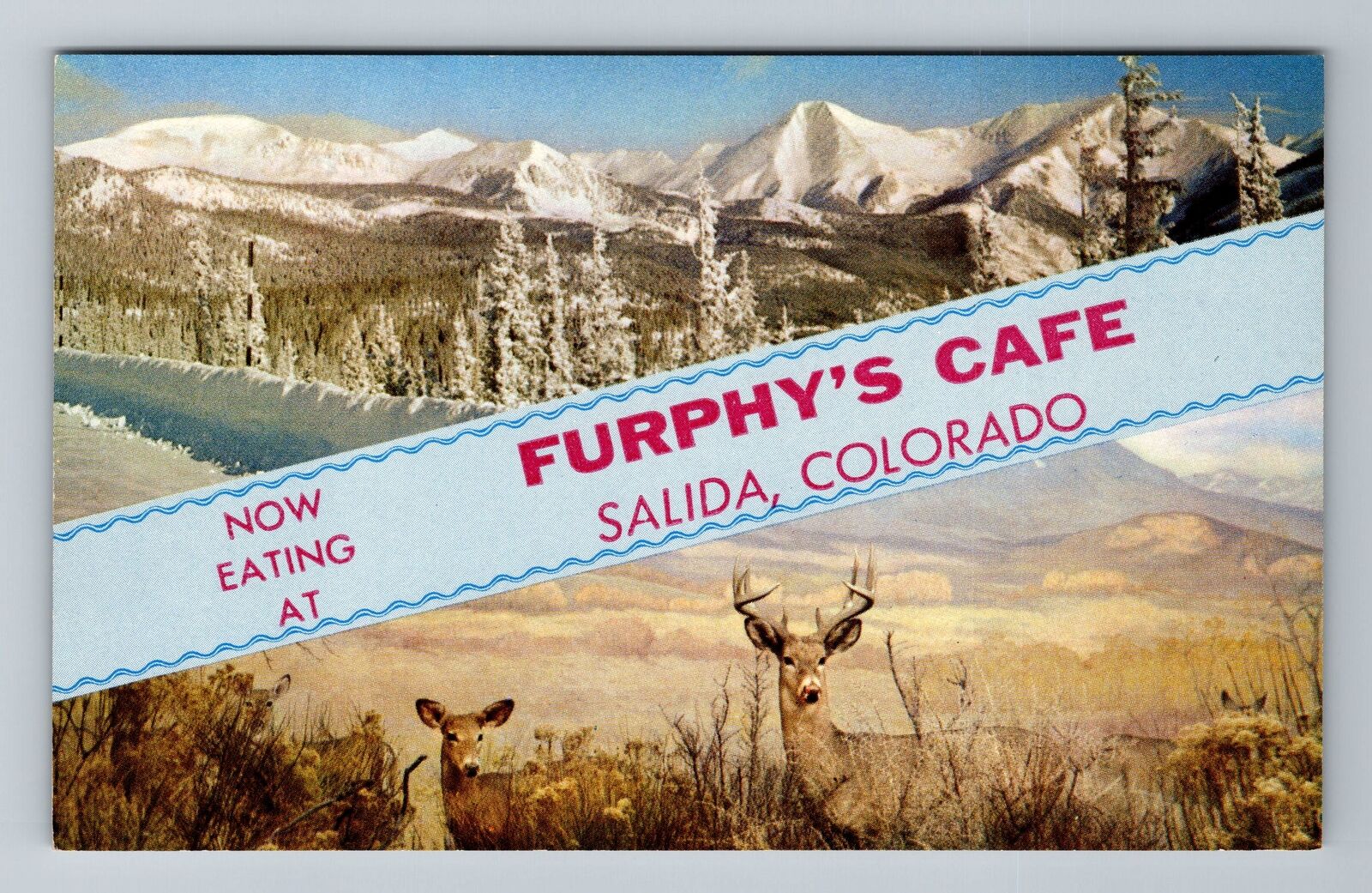 Salida CO-Colorado, Furphy's Café, Banner Greetings, Vintage Postcard