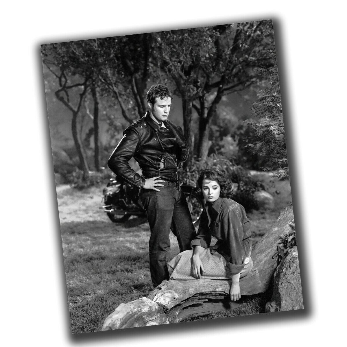 Marlon Brando&mary murphy Photo Glossy Big Size 8X10in Y062 