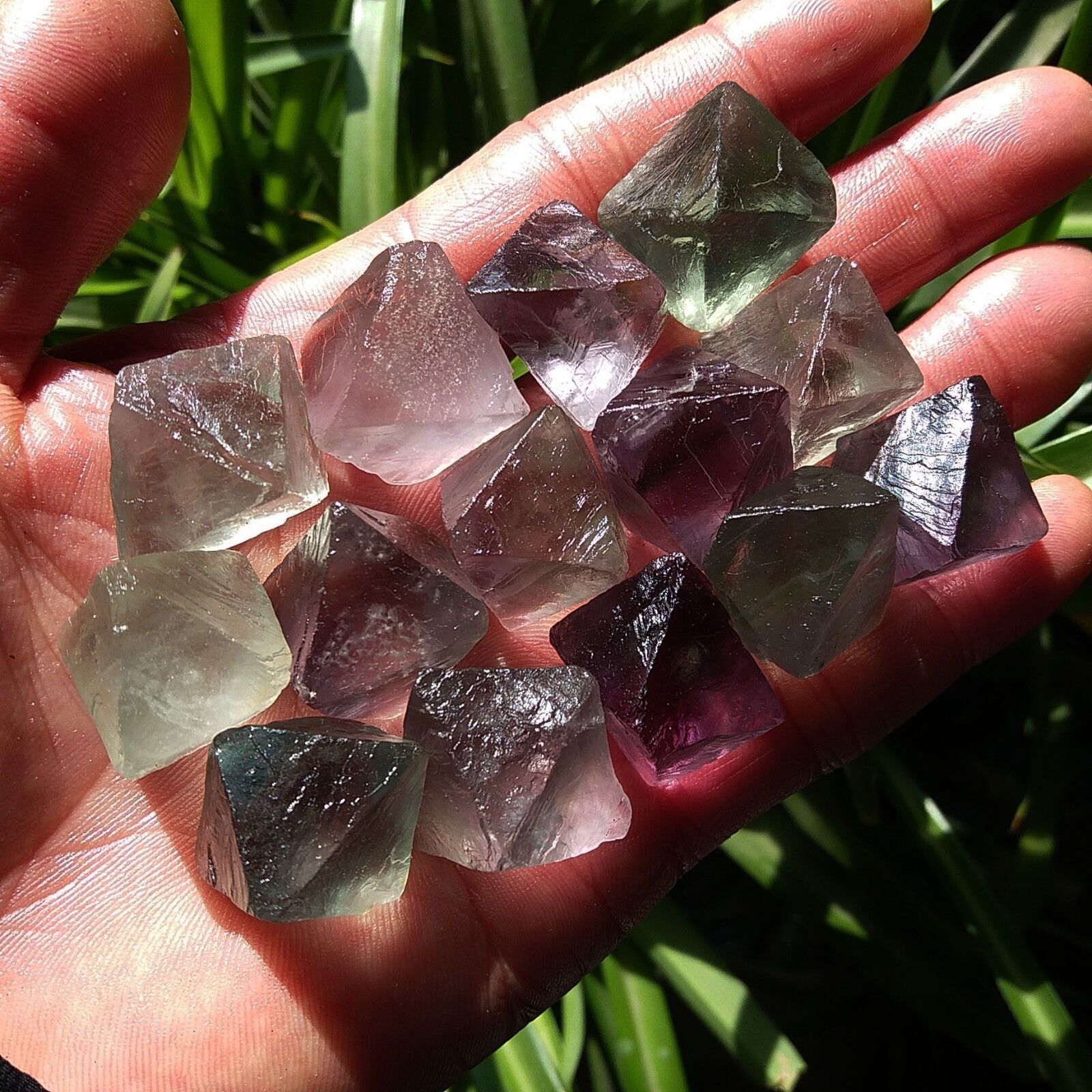 14pcs Natural Purple Fluorite Crystal Octahedrons Rock Specimen China 174g D42