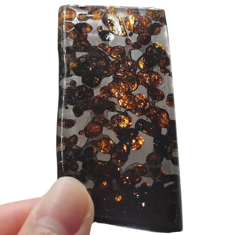 28.8g SERICHO pallasite Meteorite slice - from Kenya TA438