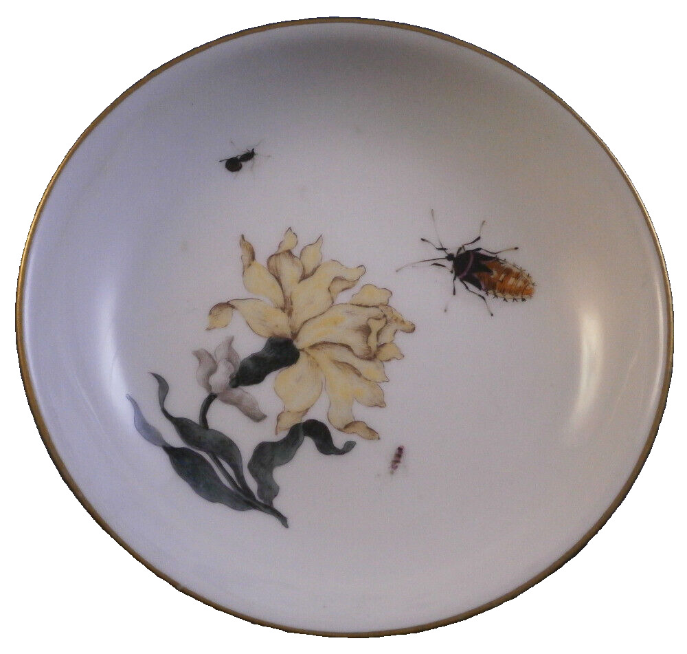 Antique 18thC 1740 Meissen Porcelain Woodcut Flower Saucer Porzellan Untertasse