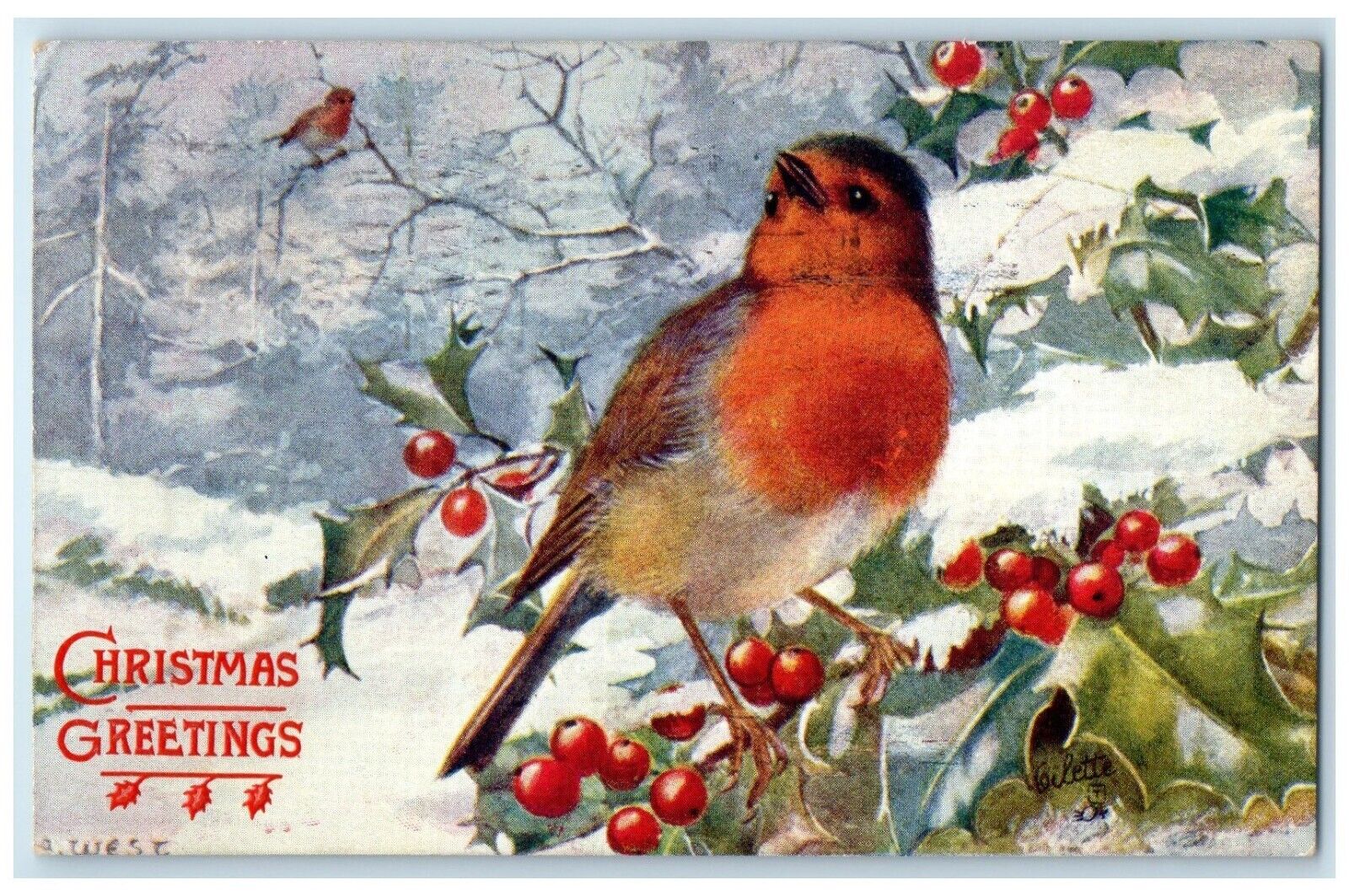 1908 Christmas Greetings Song Bird Holly Berries Winter Oilette Tuck's Postcard