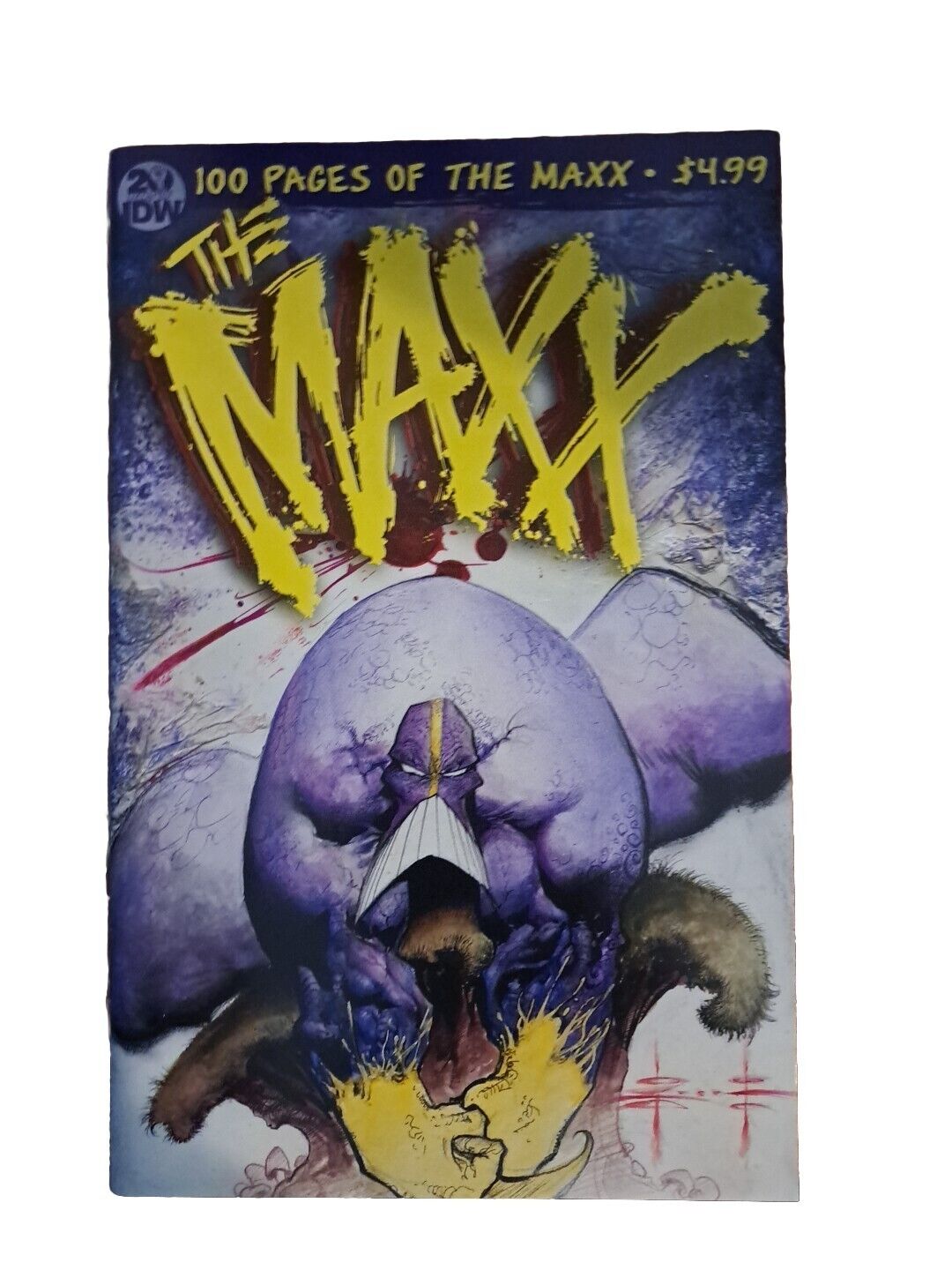 THE MAXX MAXXIMIZED # 1 NM IDW PUBLICATIONS 2013 SAM KIETH