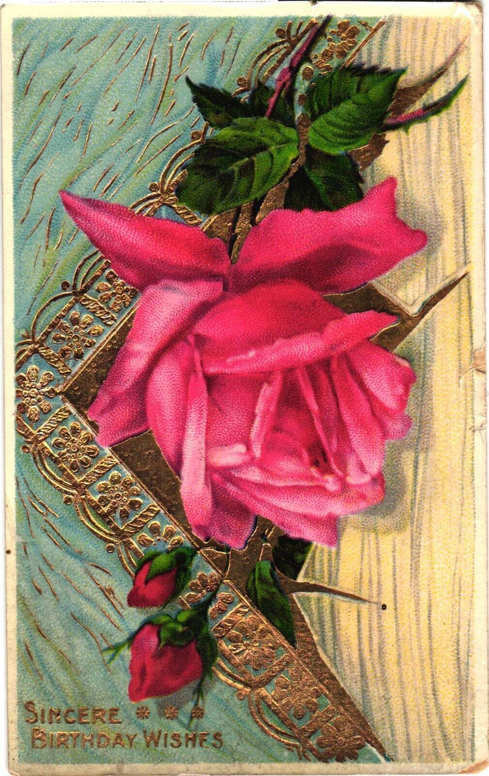 Beautiful Pink Roses, Sincere Birthday Wishes Postcard