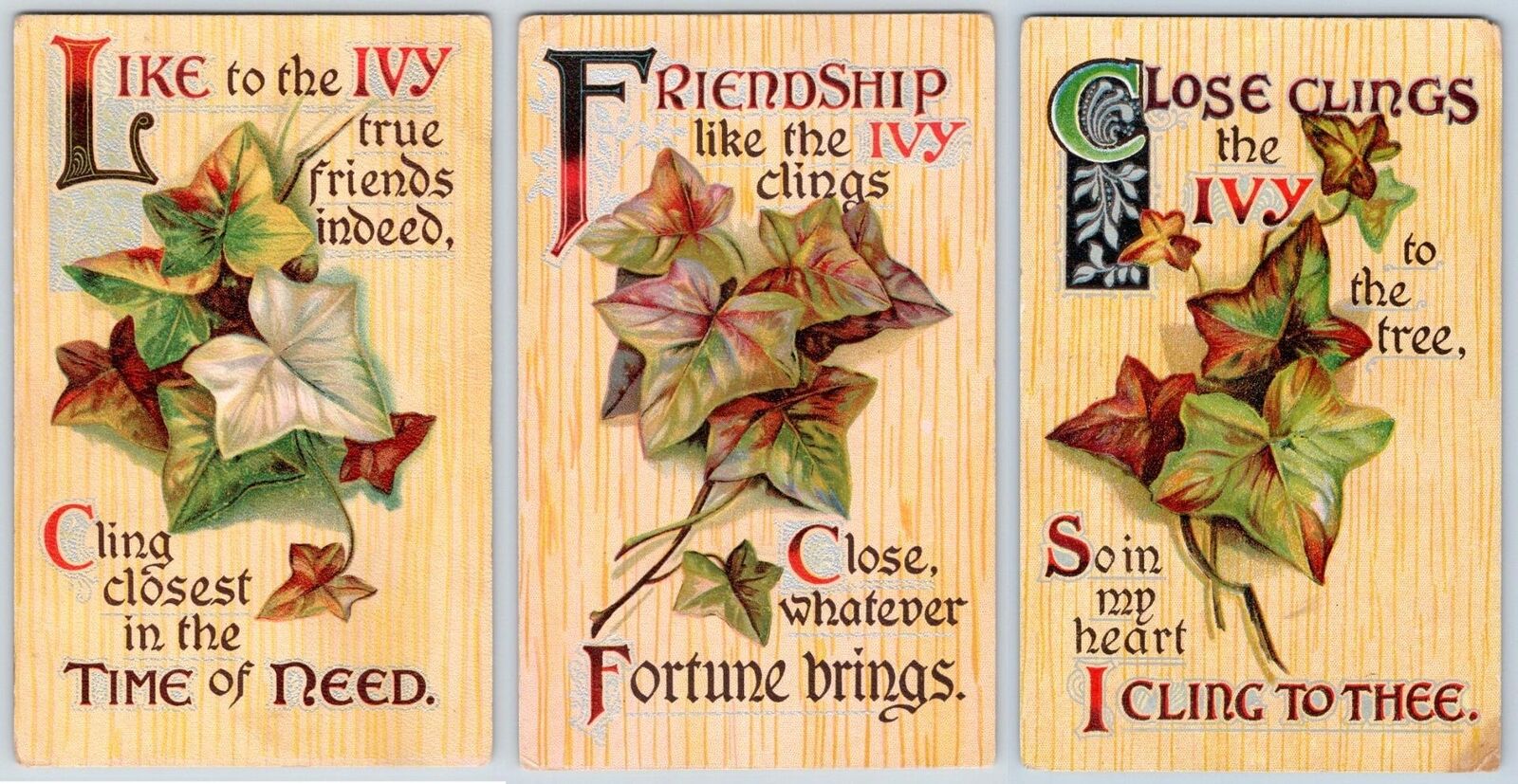 SET/3 IVY CLINGS FRIENDSHIP ANTIQUE POSTCARDS*1909-1910*CONDITION VARIES