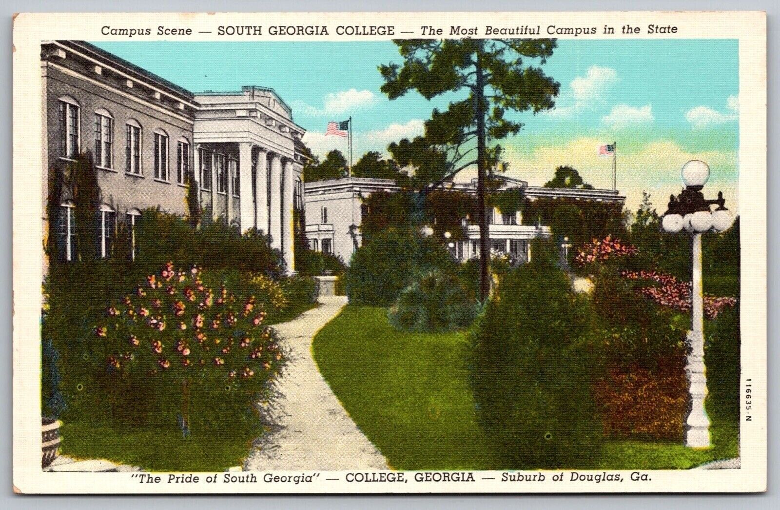 South Georgia College School Campus Pride GA Suburb Douglas Vintage UNP Postcard