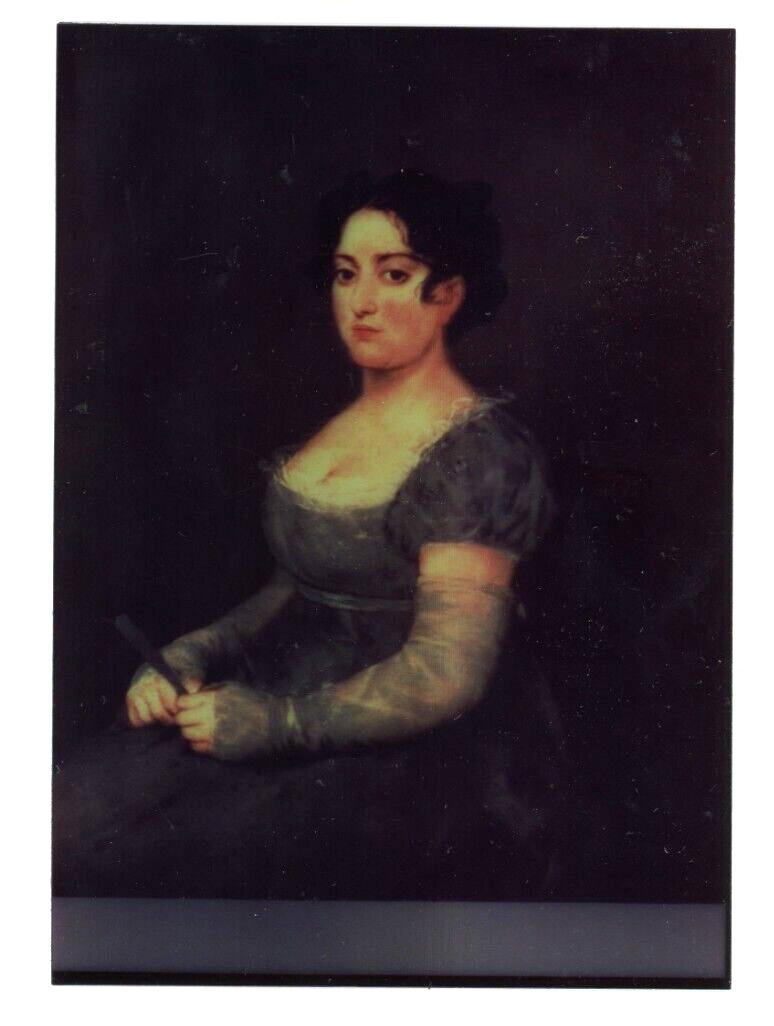 Portrait of a Lady with a Fan Francisco Goya Art Demo Print 5\
