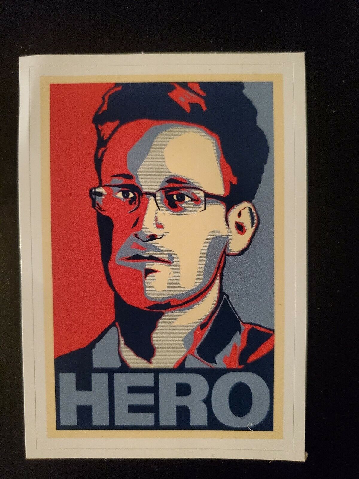Edward Snowden Hero Political Stcker FREE ED SNOWDEN Bumper sticker Exposed NSA