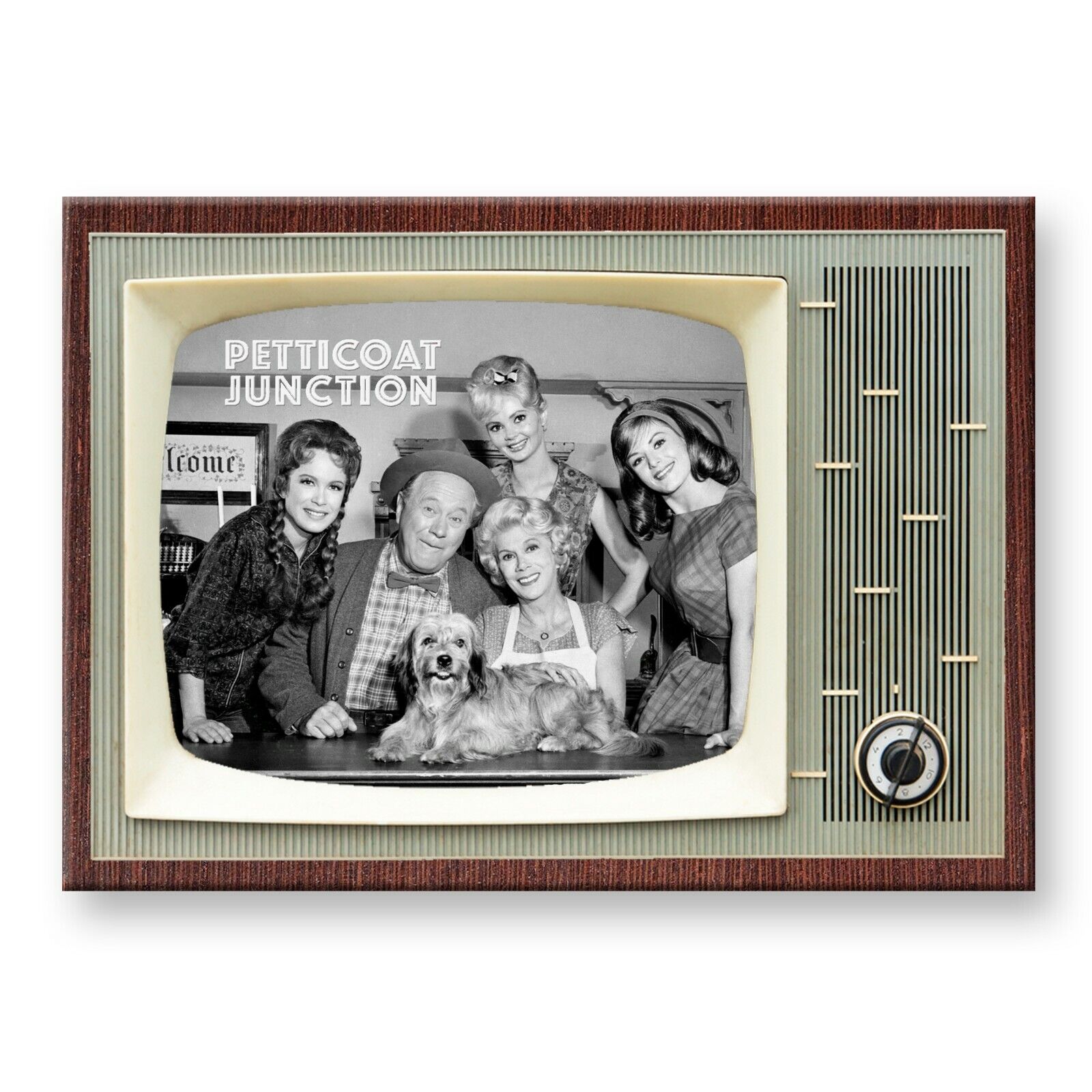 PETTICOAT JUNCTION TV Show Retro TV 3.5 inches x 2.5 inches FRIDGE MAGNET