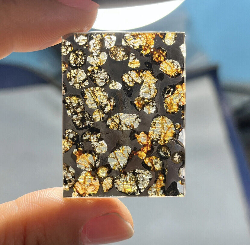 1PC random SERICHO pallasite Olive meteorite iron slice- from Kenya Meteorites