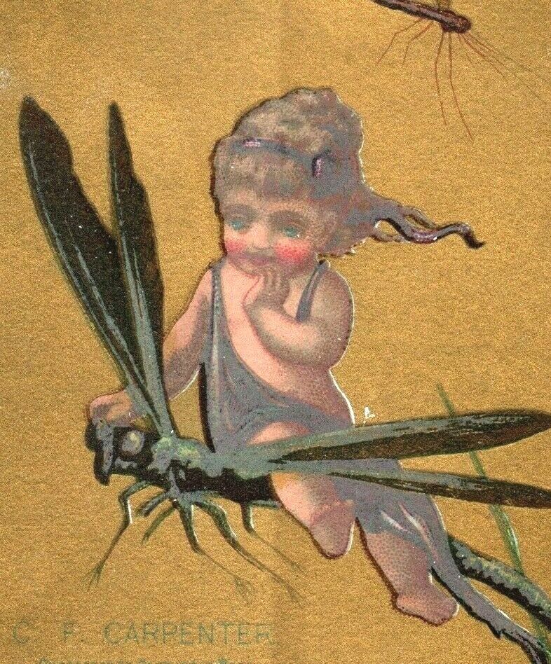 1880s-90s C.F. Carpenter 50 Cent Tea Fantasy Fairies Big Insects Lot Of 6 P214 