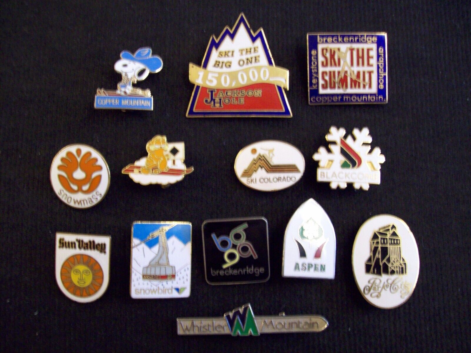 13 Vintage Ski Resort Enamel Lapel Pins
