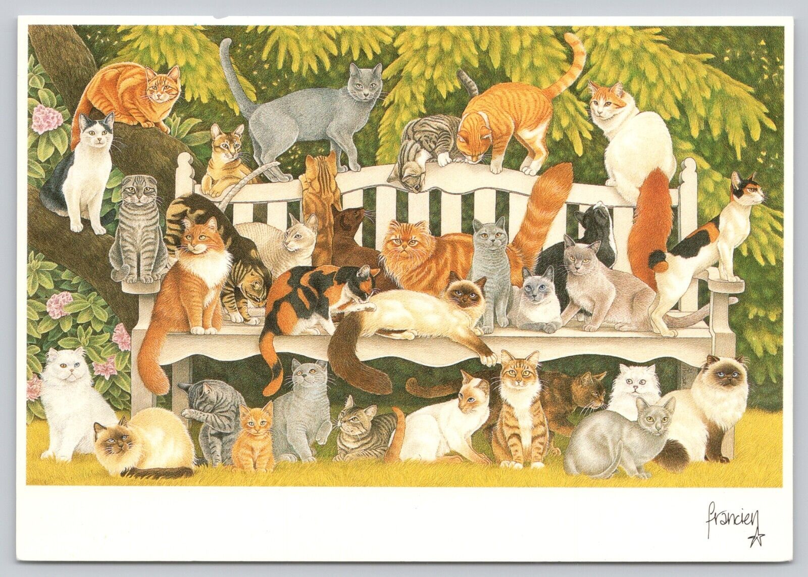 Postcard Cats in the Garden Artist Signed Francien Van Westering