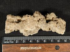 Big Very RARE 100% Natural FULGURITE or Petrified Lightning 22.0gr picture