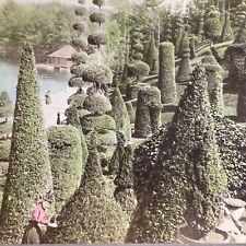 Antique 1894 HH Hunnewell Estate Wellesley Mass. Stereoview Photo Card P1452 picture
