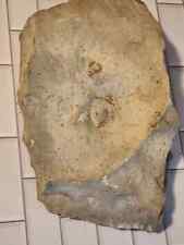 Rare Isotelus Iowaian Block with one exposed Trilobite to Prepare, Elgin, Iowa picture