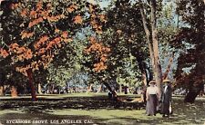 Los Angeles CA California Sycamore Grove Park Early 1900s Vtg Postcard B31 picture