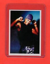 1999  Usher  Panini Smash Hits Pack  Fresh  picture