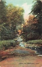Lovers Lane, Grand Ledge, Michigan Vintage PC Posted 1908 Rotograph Germany picture
