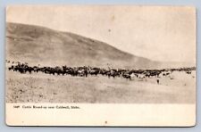 J86/ Caldwell Idaho Postcard c1910 Cattle Round-Up Cowboys  360 picture