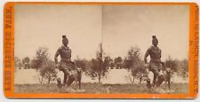 NEW YORK SV - Elmira - Eldridge Park Scenery - JE Larkin 1870s 4 picture