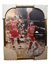 Michael Jordan Chicago Bulls # 23 & 45 -  8 x 10 framed photo print picture