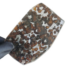 40.4g SERICHO pallasite Meteorite slice - from Kenya CA183 picture