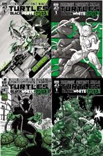 Teenage Mutant Ninja Turtles: Black, White, and Green #1  Cover Select  IN HAND picture