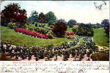 Post Card Rose Bushes Highland Park Rochester New York Posted 1906 picture