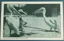 Vintage Linen Postcard LOUISIANA'S STATE BIRD-THE PELICAN picture
