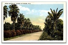 Miami Florida ~ Dixie highway ~ near Cocoanut grove ~ old brick road 13 picture