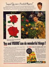 1954 Vigoro Plant Food Vintage Print Ad Rose Fertilizer Flowers Mrs. Ray Kinkaid picture