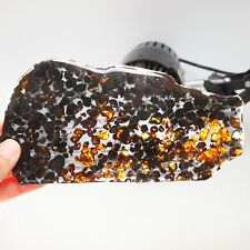 128g Beautiful SERICHO pallasite Meteorite slice - from Kenya C6829 picture