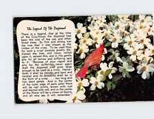 Postcard The Legend of The Dogwood picture