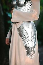 Medieval Female steel skirt, LARP women's lady-warrior armor picture