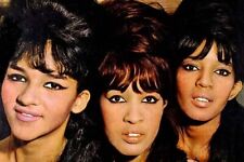 The Ronettes Nedra Talley Ronnie Spector Estelle Bennett 24x36 poster picture