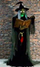 Halloween Animatronic Lifesize Spell-Speaking Witch Prop Seasonal Visions picture