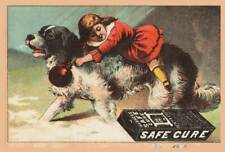 Antique Warners Safe Cure Kidney & Liver Boy RIding Dog Victorian Trade Card picture
