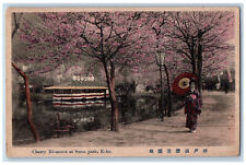 Kobe Japan Postcard Cherry Blossoms at Suma Park c1930's Vintage Posted picture