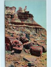 Postcard - The Snow Lady, Near Eagle Nest Rock, Petrified Forest, Arizona picture