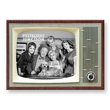 PETTICOAT JUNCTION TV Show Retro TV 3.5 inches x 2.5 inches FRIDGE MAGNET picture