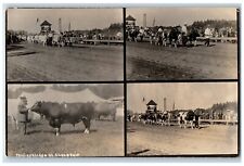 c1910's Cows Bull Calvacade At State Fair Multiview VT RPPC Photo Postcard picture