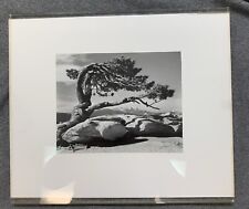Ansel Adams Special Edition Alan Ross Signed--Jeffrey Pine, Sentinel Dome picture