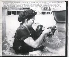 1957 Press Photo Adele McNilless bathe Michelle, the chimp, at Philadelphia Zoo picture